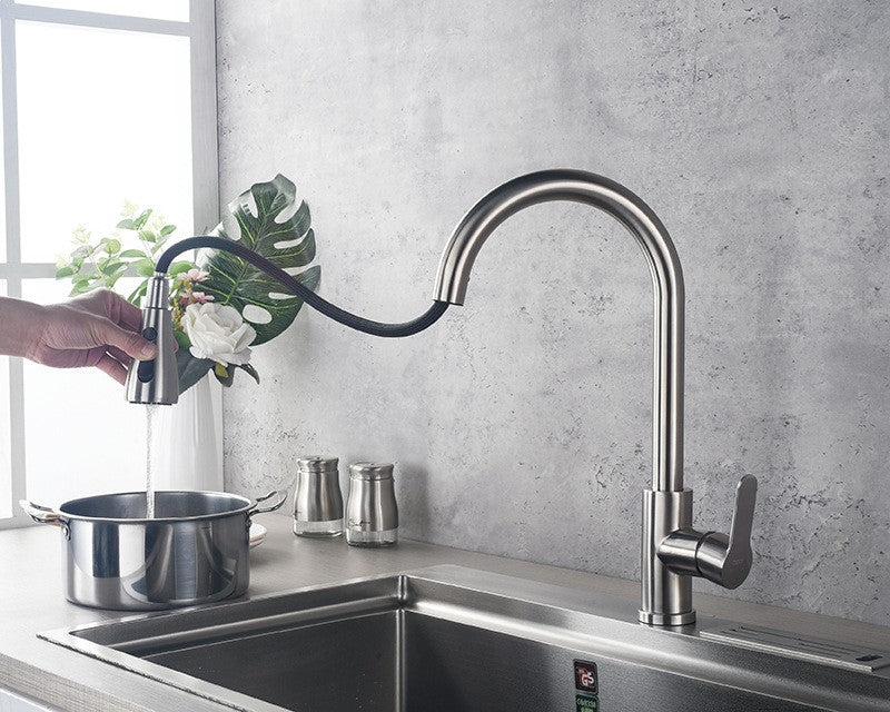 Doubs Kitchen Tap Pull Out Sprayer Kitchen Sink Faucet, High Arc Single Handle Swivel